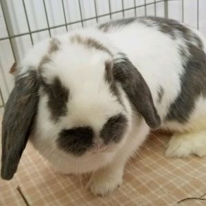 Meet your Posher, Ayanna